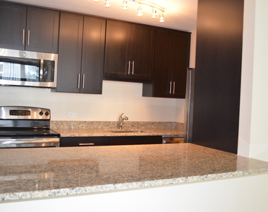 535 N Michigan Avenue - Photo Thumbnail 4