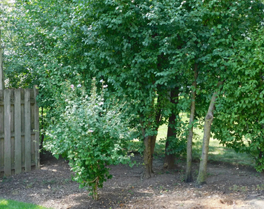 1911 Dewes Street - Photo Thumbnail 16