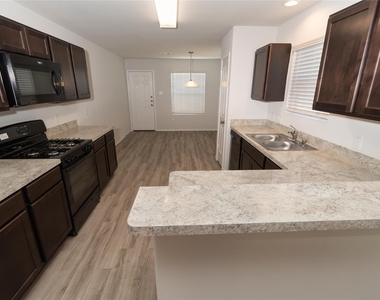 16911 Lacey Bell Lane - Photo Thumbnail 4