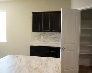 20911 Iris Bloom Street - Photo Thumbnail 8