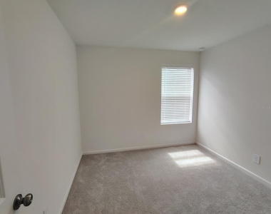 5542 Pimenta Court - Photo Thumbnail 4