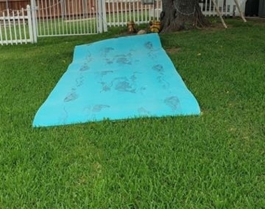 1802 Taxco Court - Photo Thumbnail 23