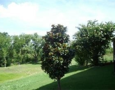 981 Crockett Drive - Photo Thumbnail 20