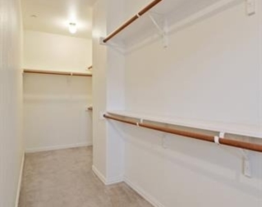 8920 Soldiers Home Lane - Photo Thumbnail 21