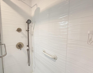 225 N Lakeshore Drive - Photo Thumbnail 44