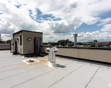 1193 Nostrand Ave 11225 - Photo Thumbnail 10
