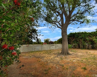 7006 Helmsdale Road - Photo Thumbnail 34