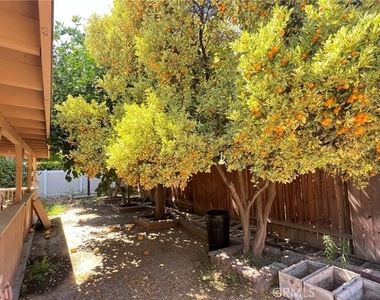 26062 Reynolds - Photo Thumbnail 30