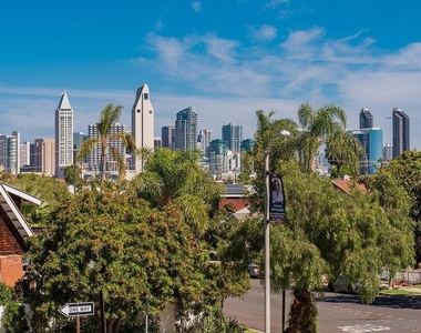 308 Palm - Photo Thumbnail 19