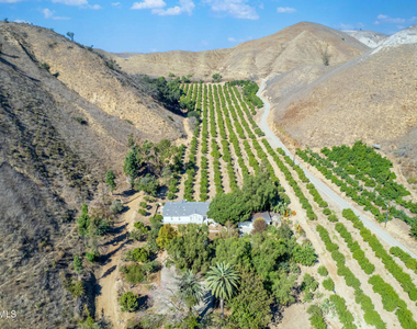 1057 La Loma Avenue - Photo Thumbnail 57