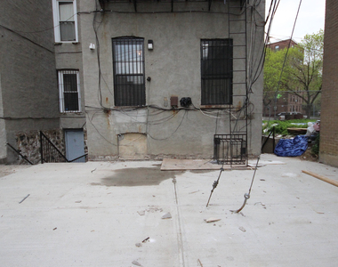 316 Patchen Ave 11233 - Photo Thumbnail 6