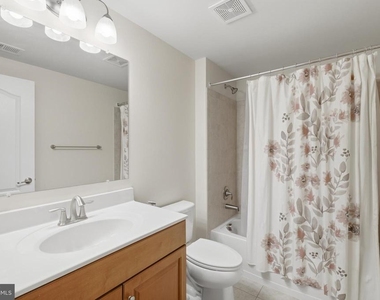 20920 Ashburn Heights Drive - Photo Thumbnail 48
