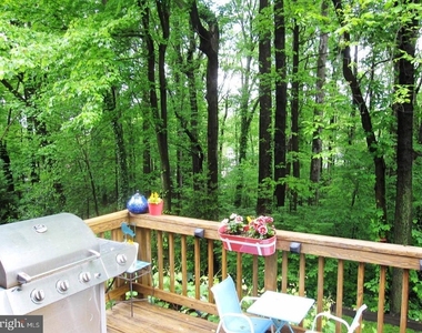 3913 Moss Drive - Photo Thumbnail 20