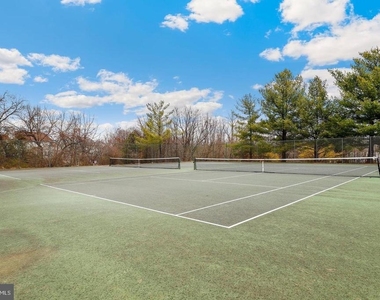 31 Steeple Court - Photo Thumbnail 68