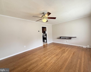 316 Queen Street - Photo Thumbnail 11