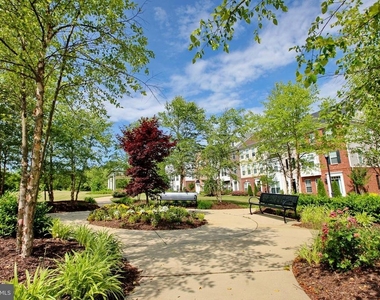 306 Buckeye Circle - Photo Thumbnail 5