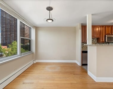 336 W Wellington Avenue - Photo Thumbnail 6