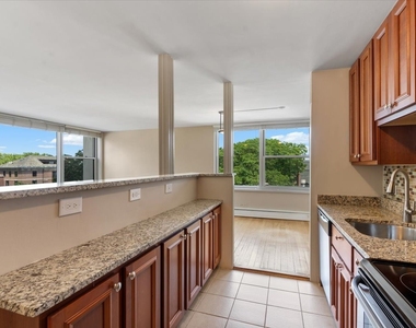 336 W Wellington Avenue - Photo Thumbnail 9