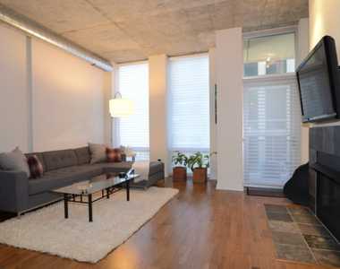 700 N Larrabee Street - Photo Thumbnail 4