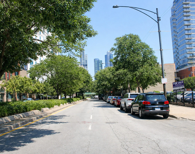 1727 S Indiana Avenue - Photo Thumbnail 11