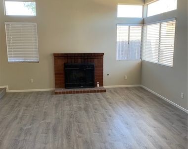 23692 Cork Oak - Photo Thumbnail 6