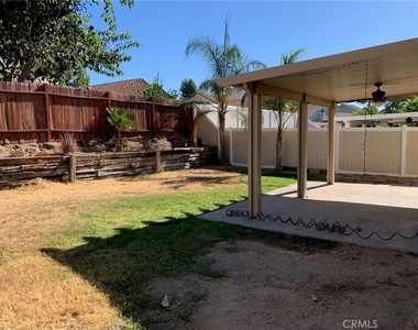 23692 Cork Oak - Photo Thumbnail 4