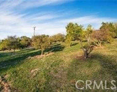 2440 Los Alisos - Photo Thumbnail 15