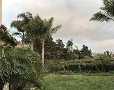 7908 Calle Oliva - Photo Thumbnail 23