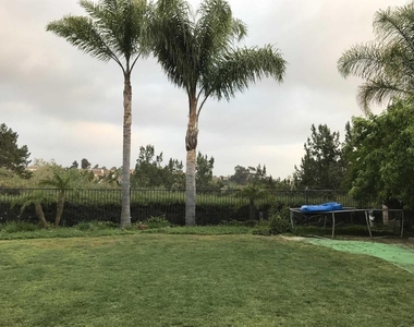 7908 Calle Oliva - Photo Thumbnail 24