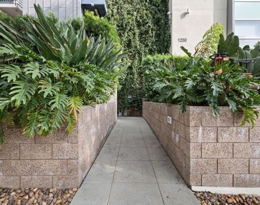 1250 N Harper Avenue - Photo Thumbnail 20