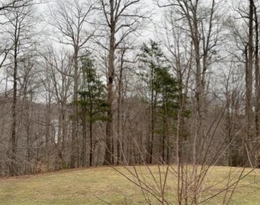 11593 Nellings Place - Photo Thumbnail 19