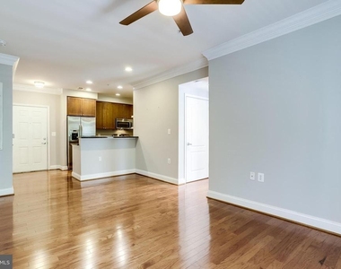 1115 Cameron Street - Photo Thumbnail 10