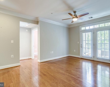 1115 Cameron Street - Photo Thumbnail 20