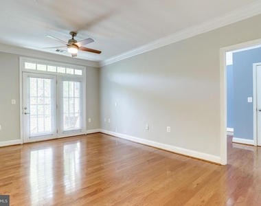 1115 Cameron Street - Photo Thumbnail 21