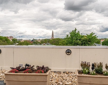 1115 Cameron Street - Photo Thumbnail 92