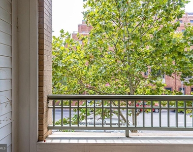 1115 Cameron Street - Photo Thumbnail 98