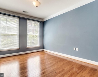 1115 Cameron Street - Photo Thumbnail 34