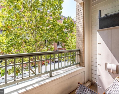 1115 Cameron Street - Photo Thumbnail 100