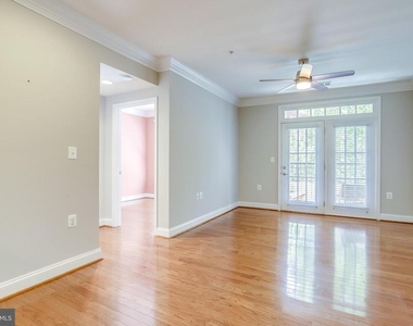 1115 Cameron Street - Photo Thumbnail 19