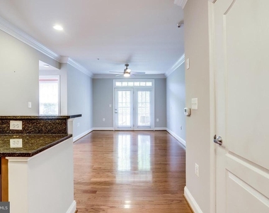 1115 Cameron Street - Photo Thumbnail 15
