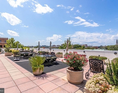 1115 Cameron Street - Photo Thumbnail 110