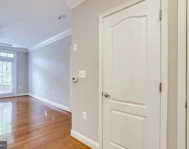 1115 Cameron Street - Photo Thumbnail 29
