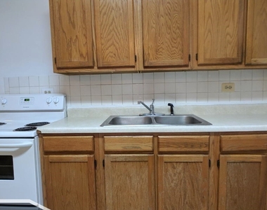 2319 N Kedzie Boulevard - Photo Thumbnail 7