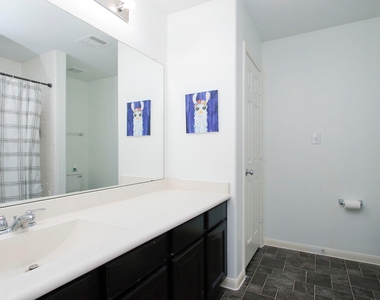 10516 Primo Place - Photo Thumbnail 18