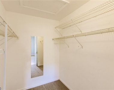 14503 Lakewood Trace Court - Photo Thumbnail 9