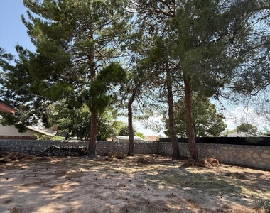 1709 Bruce Devlin Drive - Photo Thumbnail 45