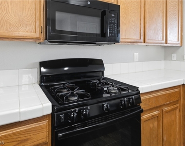 2529 Rainbow Cactus Court - Photo Thumbnail 9