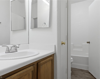 2529 Rainbow Cactus Court - Photo Thumbnail 20
