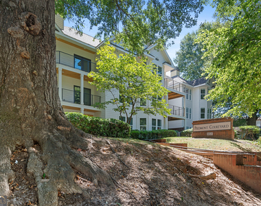 855 Piedmont Avenue Ne - Photo Thumbnail 22
