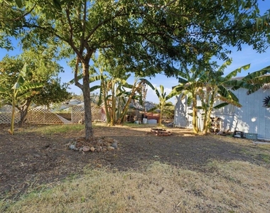 7620 Saranac Avenue - Photo Thumbnail 28